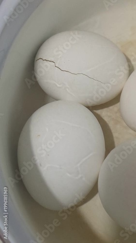 white eggs in a bowl