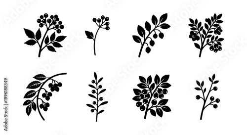 Vintage botanical berry branch silhouettes, 8 black floral vector elements, rustic forest plant icons for organic branding and wedding stationery