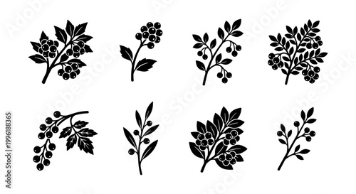 Vintage botanical berry branch silhouettes, set of 8 black floral vector icons, rustic wild berry plant elements for organic branding and packaging
