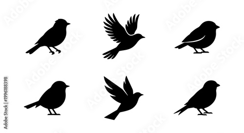 Black bird silhouette collection, set of 6 flying and perched songbird icons, minimalist avian vector graphics for nature logo design and branding