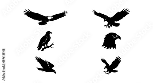 Bald eagle silhouette vector set, majestic bird of prey flying and perched icons, black hawk and falcon graphics for logos and wildlife branding