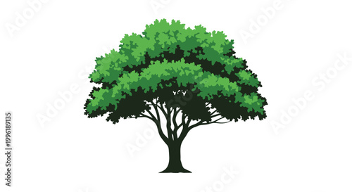 tree with lush green foliage on white background