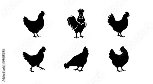 Chicken silhouette vector set, black rooster and hen icons on white background, 6 farm bird silhouettes for organic food branding and logo design