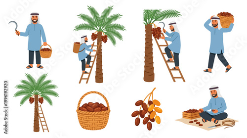 Arab farmer character performs various harvest tasks including picking fresh dates from tall trees and carrying baskets of delicious fruit