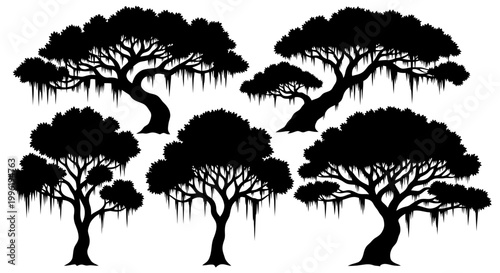 Valokuva Set of Silhouette Oak Trees with Spanish Moss, Isolated on White Background