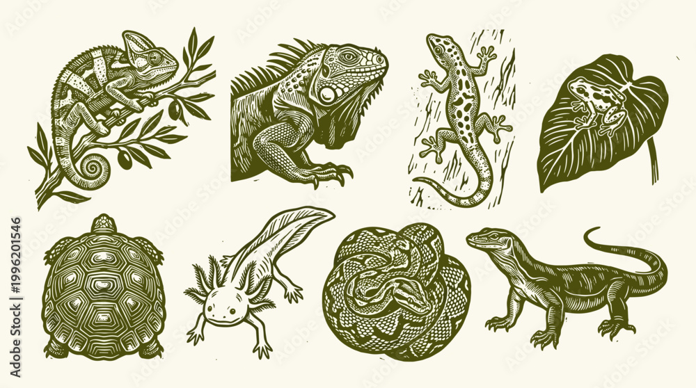 Fototapeta premium Reptile and Amphibian Linocut Illustration Set: Chameleon, Iguana, Gecko, Python, and Axolotl Icons