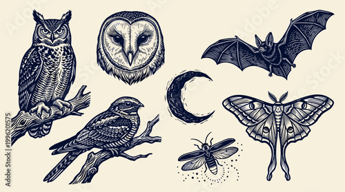 Linocut Nocturnal Animal Illustration Set: Owl, Bat, Nightjar, Moth, and Moon Silhouette Graphics