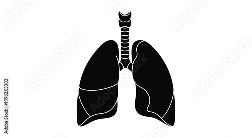 human lungs silhouette with trachea on white background