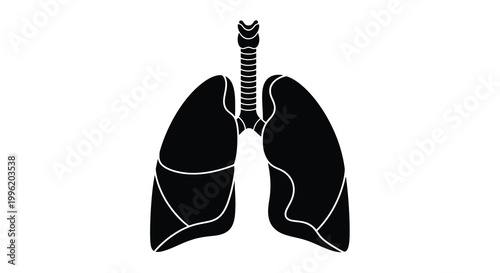 human lungs silhouette on white background high quality
