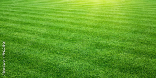 A lush green grass field textures a fresh summer meadow, creating a natural landscape pattern of outdoor turf perfect for a garden lawn, golf course, or sports park