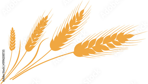 Wheat Stalks Set in Golden Yellow for Agricultural, Farming, Harvest, and Organic Product Designs