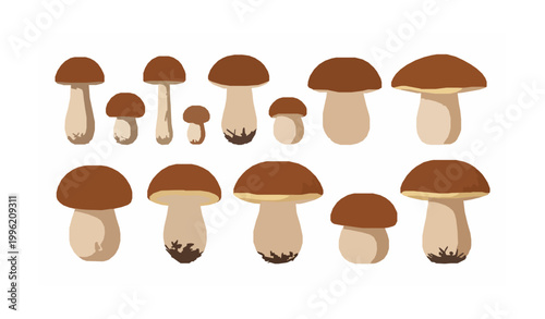 Boletus porcini mushrooms vector collection with realistic brown caps and white stems isolated on white background