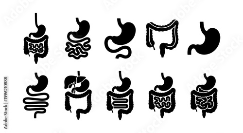 Human digestive system icons set, black stomach and intestine silhouettes, medical anatomy vector symbols for healthcare and gastroenterology
