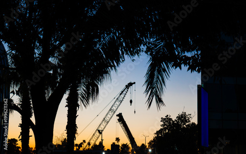 Construction Cranes Silhouette at Sunset with Palm Trees