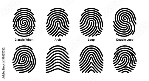 Fingerprint identification types vector set, biometric security icons including classic whorl arch and loop patterns, forensic science thumbprint collection