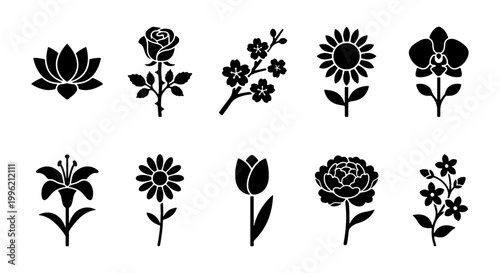 Minimalist flower icon set with 10 black floral silhouettes, botanical garden blossom vector symbols, elegant nature plant glyphs for logo design
