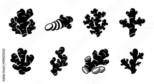 Ginger root silhouette icons, set of 8 black vector spice elements, fresh organic ginger rhizome symbols for culinary and wellness design