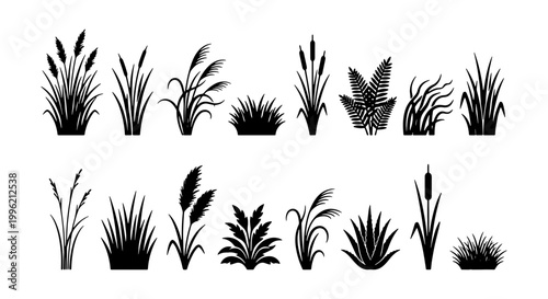 Картината върху платно Black silhouette marsh grass collection, 16 reed and cattail vector elements, bo