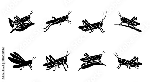 Black grasshopper silhouette icons, set of 8 cricket insect vector illustrations, minimalist locust bug graphics for nature and pest control design