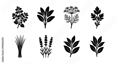 Culinary herbs and spices black silhouette icons, set of 8 botanical vector elements, organic garden herb leaf illustrations for kitchen branding