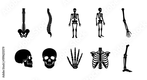 Human skeleton anatomy icons set, black silhouette medical bone symbols, 10 vector elements including skull, spine, ribcage and limbs for healthcare design
