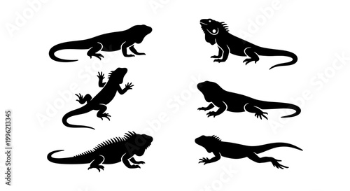 Iguana silhouette vector set, black lizard icons collection, tropical reptile silhouettes in various poses, exotic animal graphic elements