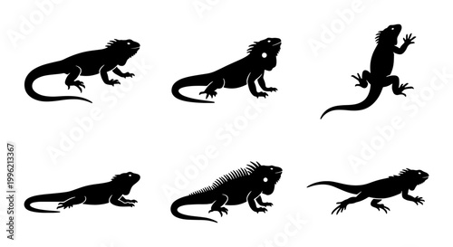 Iguana silhouette vector set, black lizard icons collection with 6 reptile elements, exotic tropical animal silhouettes for nature design