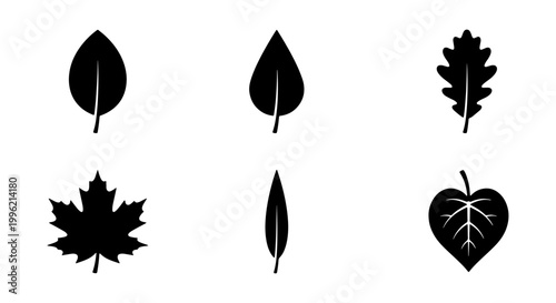 Minimalist black leaf silhouettes set, 6 botanical vector icons, flat nature symbols including maple and oak foliage for organic branding