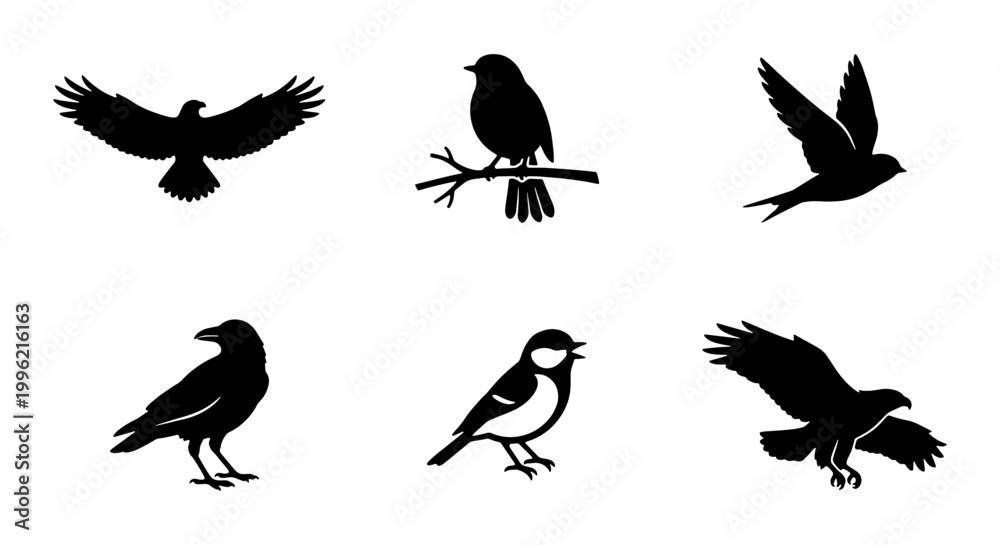 Fototapeta premium Black bird silhouette collection, set of 6 wild bird vector icons, flying eagle and raven silhouettes, songbird and hawk graphic elements