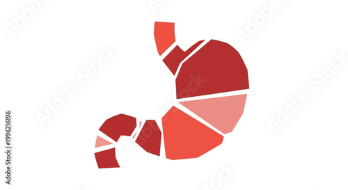 Abstract fragmented human stomach anatomy illustration in shades of red and pink