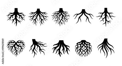 Black tree root silhouettes, set of 10 organic underground root system icons, botanical plant growth vector elements for nature and ecology design