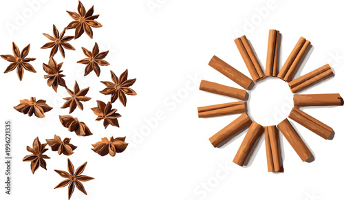Star Anise and Cinnamon Stick Illustration for Spice, Culinary, and Food Design Projects