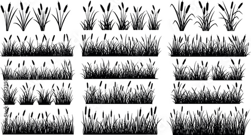 Silhouette grass and cattail reeds collection with marsh plants borders isolated on light background nature vector illustration set