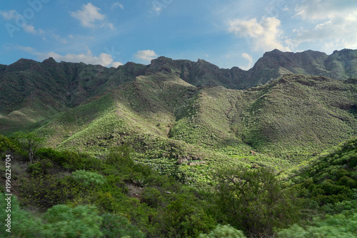 Tenerife green hills on the North of the island, Spain, Canary islands, Anaga relict forest and park