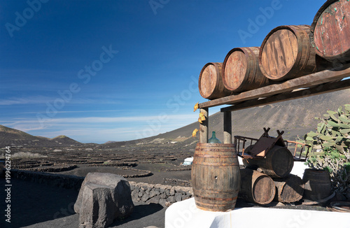 Lanzarote, Geria vine yard with barrels in volcanic landscape, Canary island, Spain