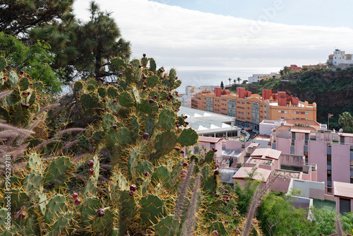Santa Cruz de la Palma town landscape, Spain, Canary islands