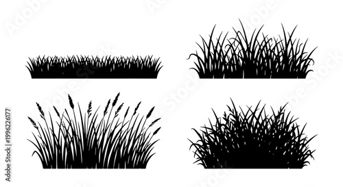 Black grass silhouette vector collection, set of 4 botanical meadow plant borders, wild field grass and reed tufts, natural landscape design elements