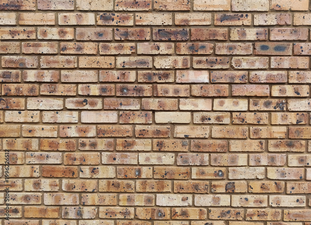 Obraz premium Photograph of Exterior Brick Wall