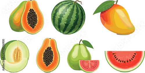 Tropical Fruits Collection with Papaya, Watermelon, Mango, Melon, and Guava in Whole and Cut Forms for Fresh Food and Healthy Diet Illustration