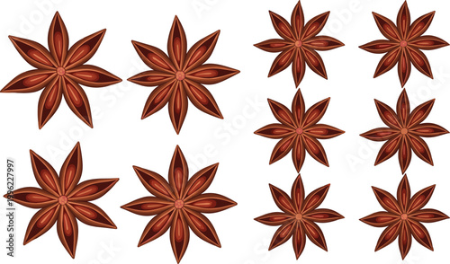 Star Anise Spice Collection with Detailed Brown Aromatic Seeds, Culinary Ingredient Illustration for Cooking, Food Design, and Herbal Elements