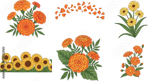 Marigold and sunflower flowers collection with petals leaves and floral arrangements isolated on light background botanical vector illustration set