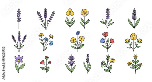 Collection of Hand Drawn Floral Illustrations and Botanical Elements.