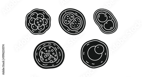 Various stages of cell division illustrated as a black silhouette