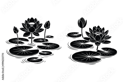 Water lilies and lily pads illustration in water with botanical, illustration