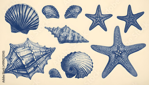 Seashell and starfish vintage engraved set, hand drawn marine collection, antique ocean clipart, monochrome ink illustrations