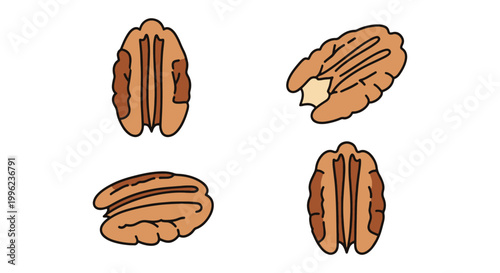 Pecan Slice Plate Line art clean decorative abstract vector