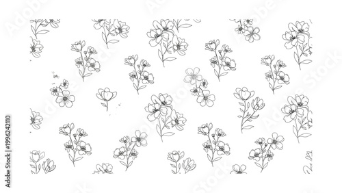 A collection of various flower illustrations.
