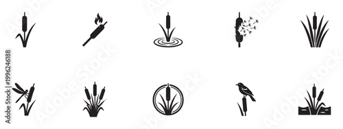 Reed and Cattail Plant Icon Set. Marsh Grass, Nature, Wildlife and River Vegetation. Vector Illustration.