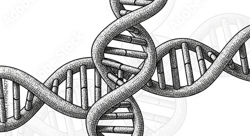 Detailed illustration of intertwined DNA double helix structures.