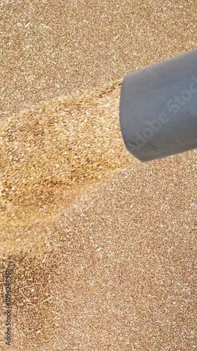A mesmerizing close-up of grain being poured. The detailed shot highlights texture, movement, and the natural beauty of an agricultural product. Perfectly captures the atmosphere of harvest